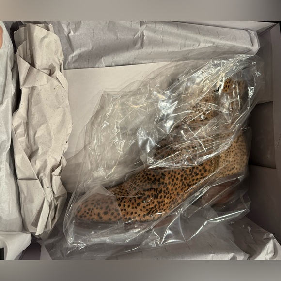 Dolce Vita Booties - Picture 4 of 10